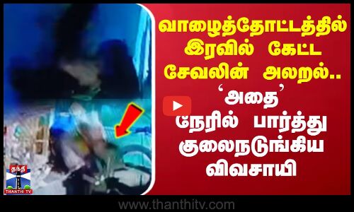 Palacode | வாழைத்தோட்டத்தில் இரவில் கேட்ட சேவலின் அலறல்.. `அதை நேரில் பார்த்து குலைநடுங்கிய விவசாயி