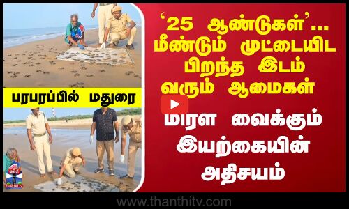 `25 ஆண்டுகள் - வியக்க வைக்கும் ஆமைகளின் ஞாபக சக்தி