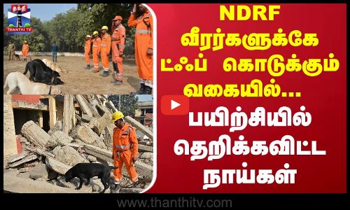 Ranipet| NDRF வீரர்களுக்கே ட்ஃப் கொடுக்கும் வகையில்... பயிற்சியில் தெறிக்கவிட்ட நாய்கள்