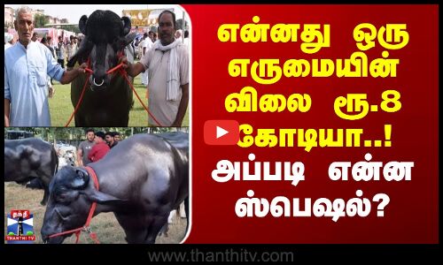 Uttar Pradesh Buffalo | என்னது ஒரு எருமையின் விலை ரூ.8 கோடியா..! - அப்படி என்ன ஸ்பெஷல்?