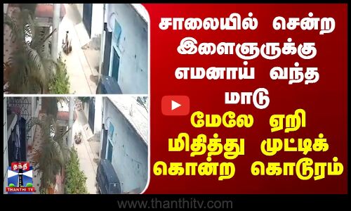 சாலையில் சென்ற இளைஞருக்கு எமனாய் வந்த மாடு-மேலே ஏறி மிதுத்து முட்டிக் கொன்ற கொடூரம்