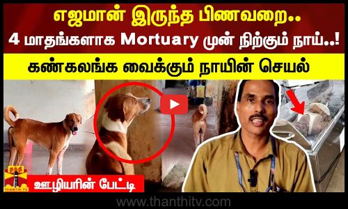 எஜமான் இருந்த பிணவறை.. 4 மாதங்களாக Mortuary முன் நிற்கும் நாய்..! கண்கலங்க வைக்கும் நாயின் செயல்
