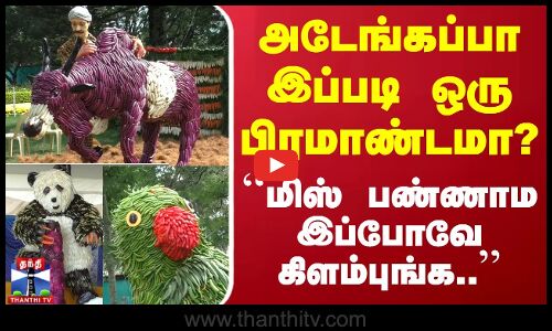 காய்கறிகளால் இப்படி ஒரு கண்காட்சியா? - ``மிஸ் பண்ணமா இப்போவே கிளம்புங்க