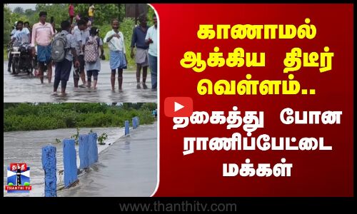 Rainpet | flood | காணாமல் ஆக்கிய திடீர்  வெள்ளம்... திகைத்து போன ராணிப்பேட்டை மக்கள்