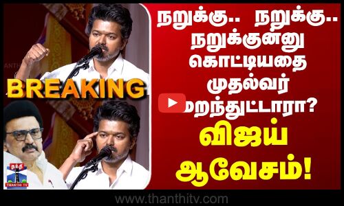 TVK Vijay Speech | நறுக்கு.. நறுக்கு.. நறுக்குன்னு கொட்டியதை முதல்வர் மறந்துட்டாரா?..  விஜய் ஆவேசம்
