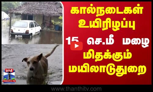 Mayiladuthurai Rainfall | கால்நடைகள் உயிரிழப்பு.. மிதக்கும் மயிலாடுதுறை