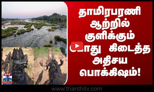 Impon Sculpture | Tirunelveli | தாமிரபரணி ஆற்றில் குளிக்கும் போது கிடைத்த அதிசய பொக்கிஷம்!