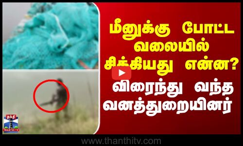 மீனுக்கு போட்ட வலையில் சிக்கியது என்ன? - விரைந்து வந்த வனத்துறையினர்