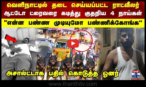 வெளிநாட்டில் தடை செய்யப்பட்ட ராட்வீலர்ஆட்டோ ட்ரைவரை கடித்து குதறிய 4 நாய்கள்