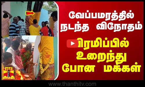 வேப்பமரத்தில் நடந்த விநோதம்.. பிரமிப்பில் உறைந்து போன மக்கள்