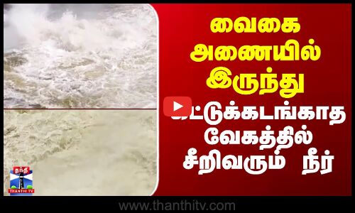 வைகை அணையில் இருந்து கட்டுக்கடங்காத வேகத்தில் சீறிவரும் நீர்