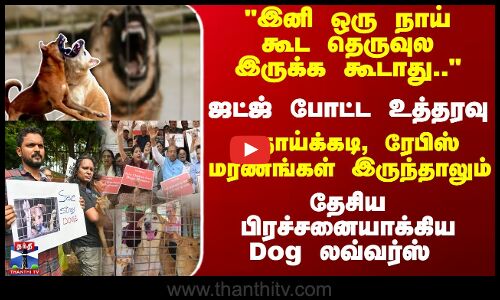 இனி ஒரு நாய்கூட இருக்க கூடாது ஜட்ஜ் உத்தரவு - தேசிய பிரச்சனையாக்கிய Dog லவ்வர்ஸ்