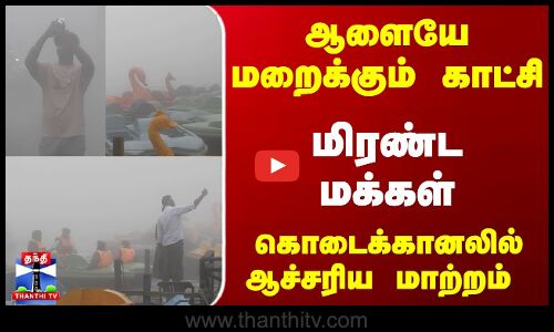 Kodaikanal | Mist | ஆளையே மறைக்கும் காட்சி... ஆளையே மறைக்கும் காட்சி