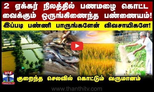 2 ஏக்கர் நிலத்தில் பணமழை கொட்ட வைக்கும் ஒருங்கிணைந்த பண்ணையம்!
