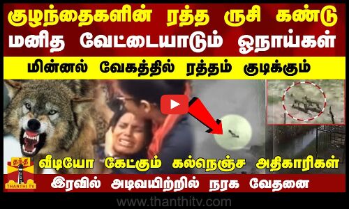 குழந்தைகளின் ரத்த ருசி கண்டு மனித வேட்டையாடும் ஓநாய்கள்..மின்னல் வேகத்தில் ரத்தம் குடிக்கும்..