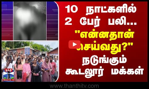 10 நாட்களில் 2 பேர் பலி... நடுங்கும் கூடலூர் மக்கள்