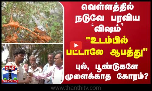 வெள்ளத்தில் நடுவே பரவிய `விஷம்’ - “உடம்பில் பட்டாலே ஆபத்து - புல், பூண்டுகளே முளைக்காத கோரம்?“