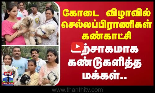 கோடை விழாவில் செல்லப்பிராணிகள் கண்காட்சி...!உற்சாகமாக கண்டுகளித்த மக்கள்