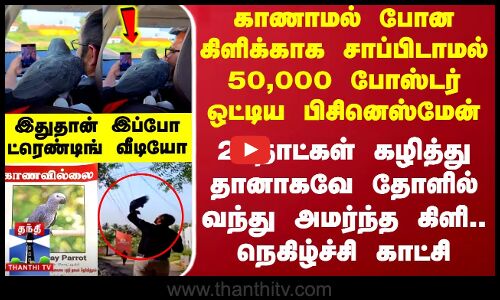 காணாமல் போன கிளிக்காக போஸ்டர் ஒட்டிய பிசினெஸ்மேன் - 2 நாட்கள் கழித்து தோளில் வந்து அமர்ந்த கிளி