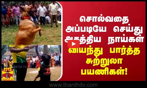 சொல்வதை அப்படியே செய்து அசத்திய நாய்கள் - வியக்க வைத்த  ஏற்காடு கோடை விழா