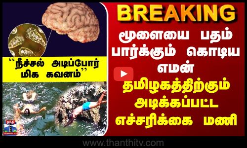 மூளையை பதம் பார்க்கும் கொடிய எமன் - தமிழகத்திற்கும் அடிக்கப்பட்ட எச்சரிக்கை மணி