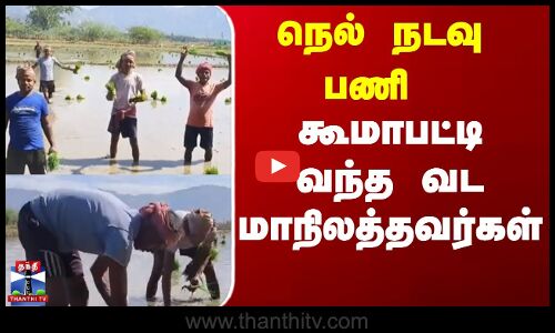 நெல் நடவு பணி - கூமாபட்டி வந்த வட மாநிலத்தவர்கள்
