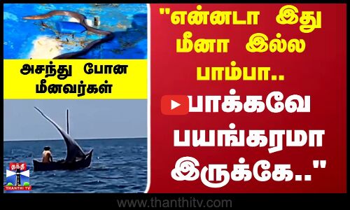 Fish | என்னடா இது மீனா இல்ல பாம்பா.. பாக்கவே பயங்கரமா இருக்கே.. அசந்து போன மீனவர்கள்