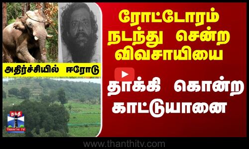 Elephant Attack | ரோட்டோரம் நடந்து சென்ற விவசாயியை... தாக்கி கொன்ற காட்டுயானை -அதிர்ச்சியில் மக்கள்