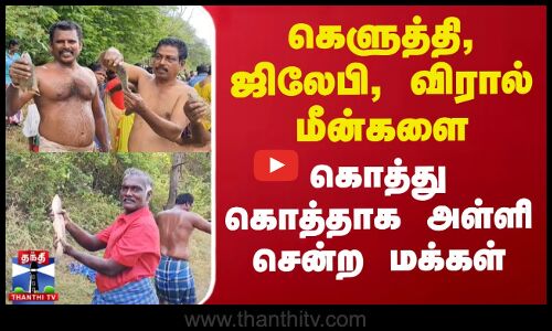 கெளுத்தி, ஜிலேபி, விரால் மீன்களை கொத்து கொத்தாக அள்ளி சென்ற மக்கள்