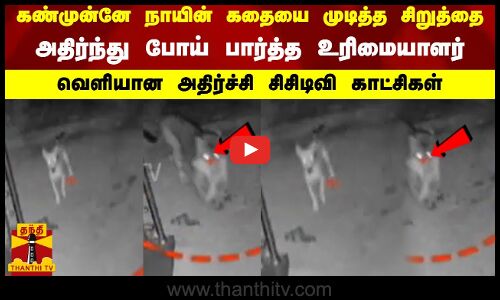 கண்முன்னே நாயின் கதையை முடித்த சிறுத்தை - அதிர்ந்து போய் பார்த்த உரிமையாளர்...