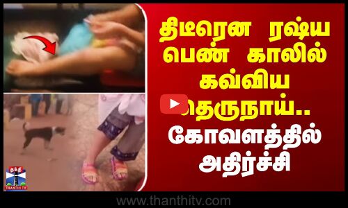 Dog Bite | Kovalam | திடீரென ரஷ்ய பெண் காலில் கவ்விய தெருநாய்.. கோவளத்தில் அதிர்ச்சி