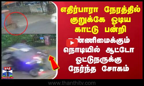 kerala | எதிர்பாரா நேரத்தில் குறுக்கே வந்த காட்டு பன்றி.. ஆட்டோ ஓட்டுநருக்கு நேர்ந்த சோகம்