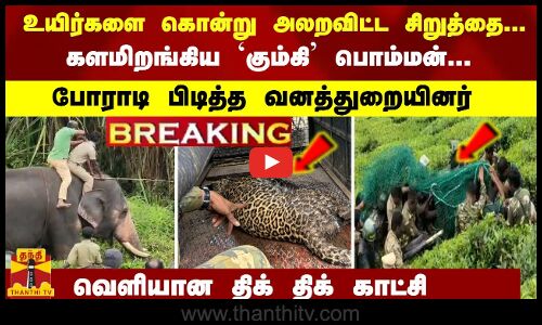 #Breaking : அலறவிட்ட சிறுத்தை;களமிறங்கிய கும்கி... போராடி பிடித்த வனத்துறையினர் -திக் திக் காட்சி