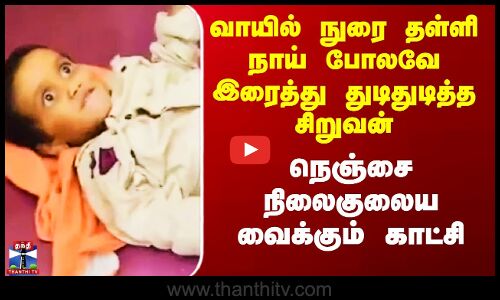 வாயில் நுரை தள்ளி நாய் போலவே இரைத்து துடிதுடித்த சிறுவன்