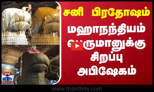 Thanjai Periya Kovil | சனி பிரதோஷம் - மஹாநந்தியம் பெருமானுக்கு சிறப்பு அபிஷேகம்