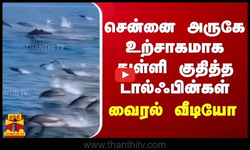 சென்னை அருகே உற்சாகமாக துள்ளி குதித்த டால்ஃபின்கள்.. வைரல் வீடியோ
