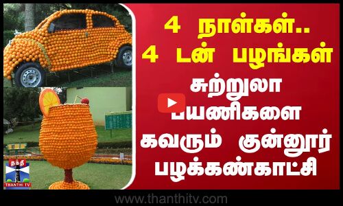4 நாள்கள்.. 4 டன் பழங்கள் - சுற்றுலா பயணிகளை கவரும் குன்னூர் பழக்கண்காட்சி