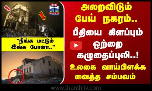 Ghost Town | அலறவிடும் பேய் நகரம்..  பீதியை கிளப்பும் ஒற்றை கழுதைப்புலி..!