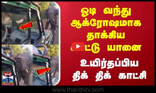 ஓடி வந்து ஆக்ரோஷமாக தாக்கிய காட்டு யானை | உயிர்தப்பிய திக் திக் காட்சி