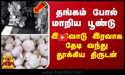 தங்கம் போல் மாறிய பூண்டு - இரவோடு இரவாக தேடி வந்து தூக்கிய திருடன்