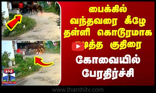 Kovai | Horse | பைக்கில் வந்தவரை கீழே தள்ளி கொடூரமாக கடித்த குதிரை - கோவையில் பேரதிர்ச்சி