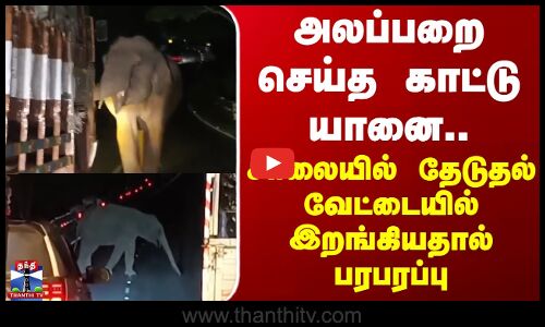 Erode | அலப்பறை செய்த காட்டு யானை.. சாலையில் தேடுதல் வேட்டையில் இறங்கியதால் பரபரப்பு