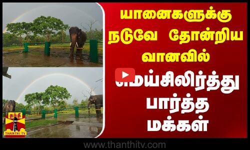 யானைகளுக்கு நடுவே தோன்றிய வானவில் - மெய்சிலிர்த்து பார்த்த மக்கள்