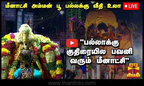 🔴LIVE : உலகப் புகழ்பெற்ற மதுரை சித்திரைத் திருவிழா- மீனாட்சி அம்மன் பூ பல்லக்கு வீதி உலா | நேரலை