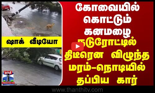 கோவையில் நடுரோட்டில் திடீரென விழுந்த மரம் - நொடியில் தப்பிய கார்...ஷாக் வீடியோ