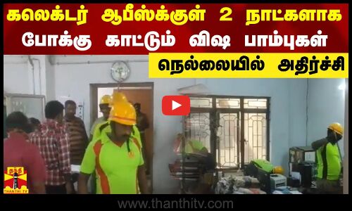 கலெக்டர் ஆபீஸ்க்குள் 2 நாட்களாக போக்கு காட்டும் விஷ பாம்புகள் - நெல்லையில் அதிர்ச்சி