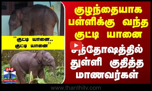 ``குட்டி யானை.. குட்டி யானை -பள்ளிக்குள் நுழைந்த குட்டி யானை.. துள்ளி குதித்த மாணவர்கள்