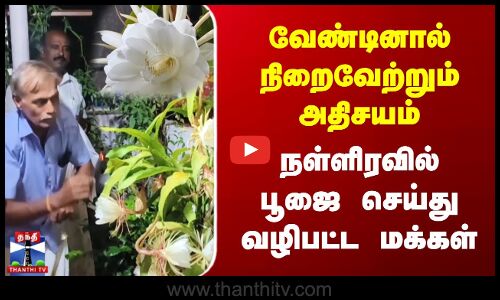 வேண்டினால் நிறைவேற்றும் அதிசயம் | நள்ளிரவில் பூஜை செய்து வழிபட்ட மக்கள்