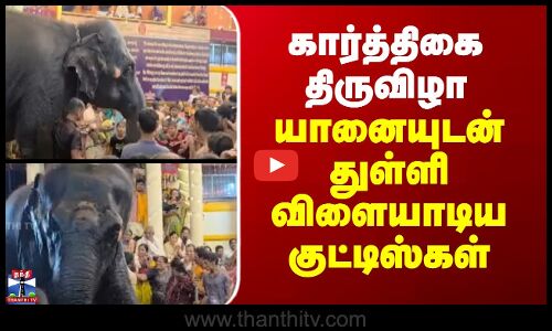 கார்த்திகை திருவிழா - பக்தர்களை மகிழ்வித்த யானை நீராட்டு நிகழ்வு