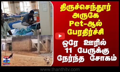 Tiruchendur | Pet Dog | திருச்செந்தூர் அருகே பேரதிர்ச்சி - ஒரே ஊரில் 11 பேருக்கு நேர்ந்த சோகம்